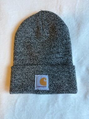 Carhartt Beanie in Gray with Carhartt Patch